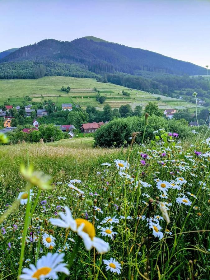 Зачаровані Карпати, Воловець Exteriér fotografie